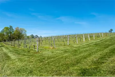 318 Elkin Creek Mill Road, Elkin, NC 28621 - Photo 31