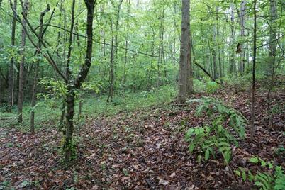 01 Woodridge Lane, Yadkinville, NC 27055 - Photo 13