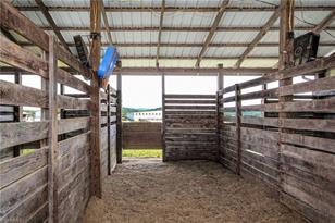 100 Equus Loop, Natural Bridge, VA 24578 - Photo 19