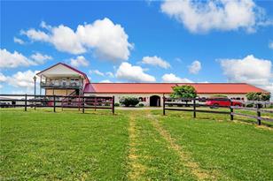 100 Equus Loop, Natural Bridge, VA 24578 - Photo 5