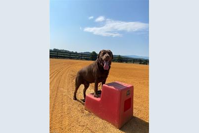 100 Equus Loop, Natural Bridge, VA 24578 - Photo 7