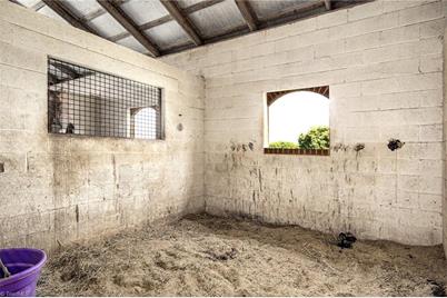 100 Equus Loop, Natural Bridge, VA 24578 - Photo 21