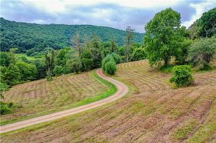 2190 Antioch Rd, Sparta, NC 28675 - Photo 49