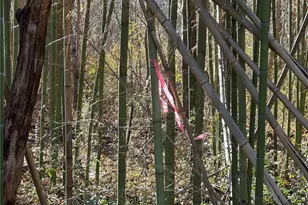 3023 Wilkesboro Hwy, Statesville, NC 28625 - Photo 9