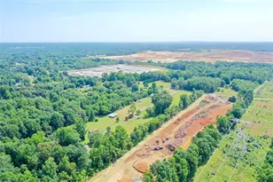 5729 Julian Airport Rd, Liberty, NC 27298 - Photo 9