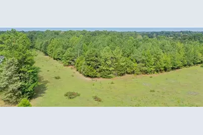 6972 Bowman Dairy Road, Liberty, NC 27298 - Photo 7