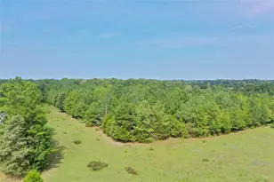 6972 Bowman Dairy Rd, Liberty, NC 27298 - Photo 7