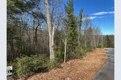 Lot 41 Sutters Ridge Road, McGrady, NC 28649 - Photo 3