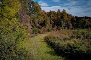 0 Adams Rd, Reidsville, NC 27320 - Photo 21