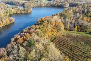 0 Boyd Rd, Reidsville, NC 27320 - Photo 3