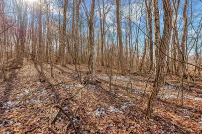 Tbd Roaring Branch Road, Lansing, NC 28643 - Photo 13