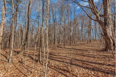 Tbd Roaring Branch Road, Lansing, NC 28643 - Photo 25