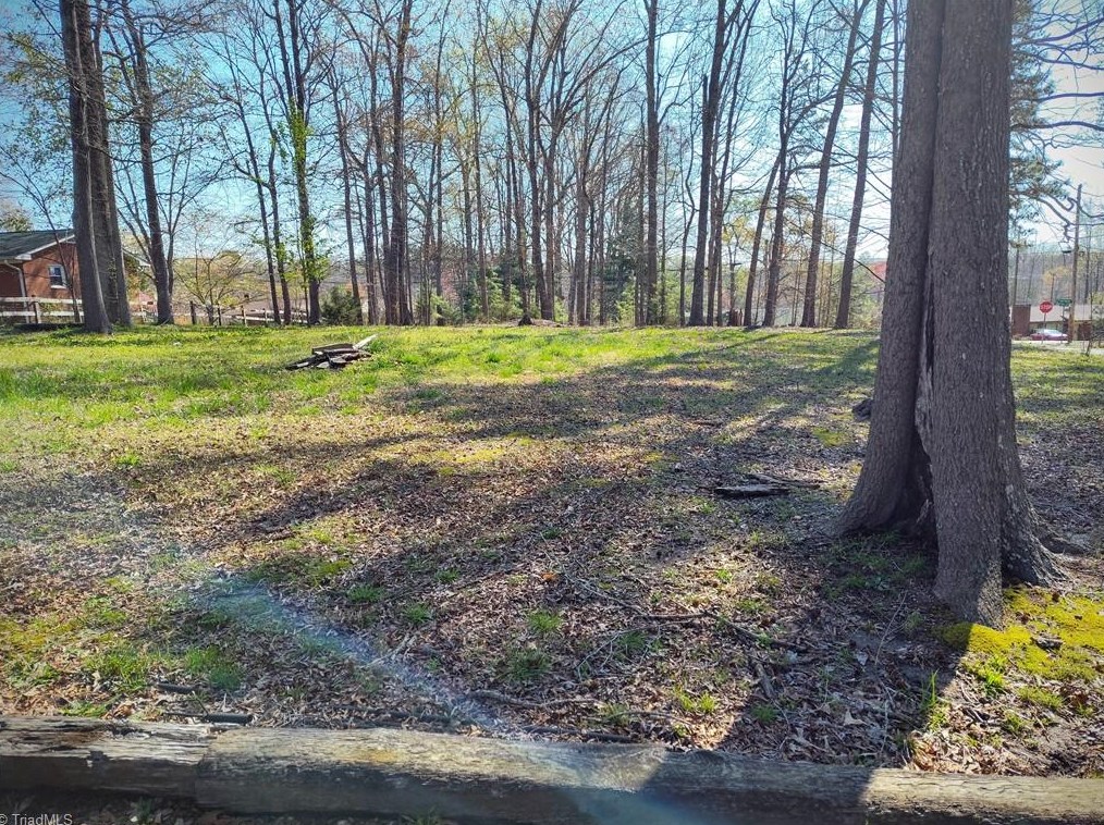 3624 Shady Lawn Ct, High Point NC  27263-8027 exterior