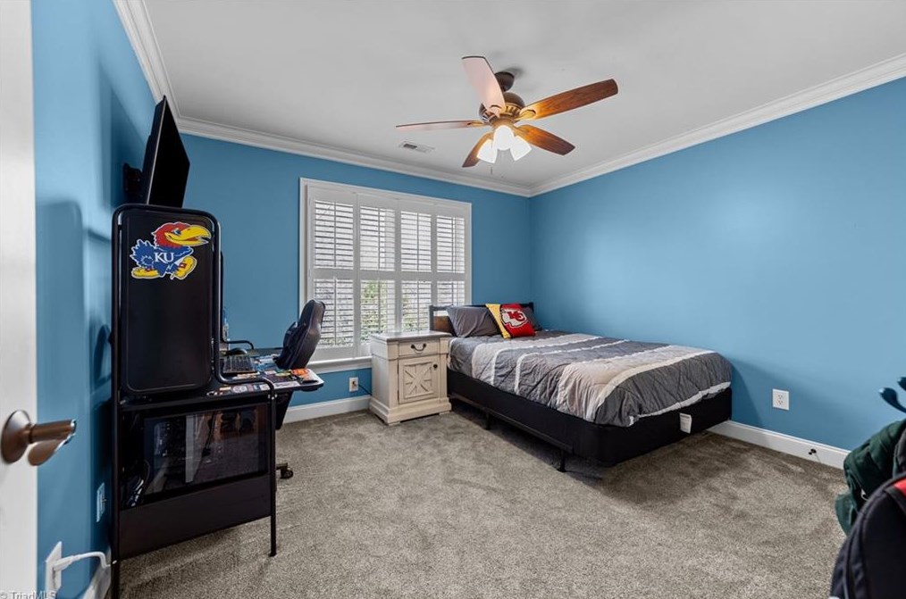 6308 Blue Aster Trce, Summerfield NC 27358-9344 exterior