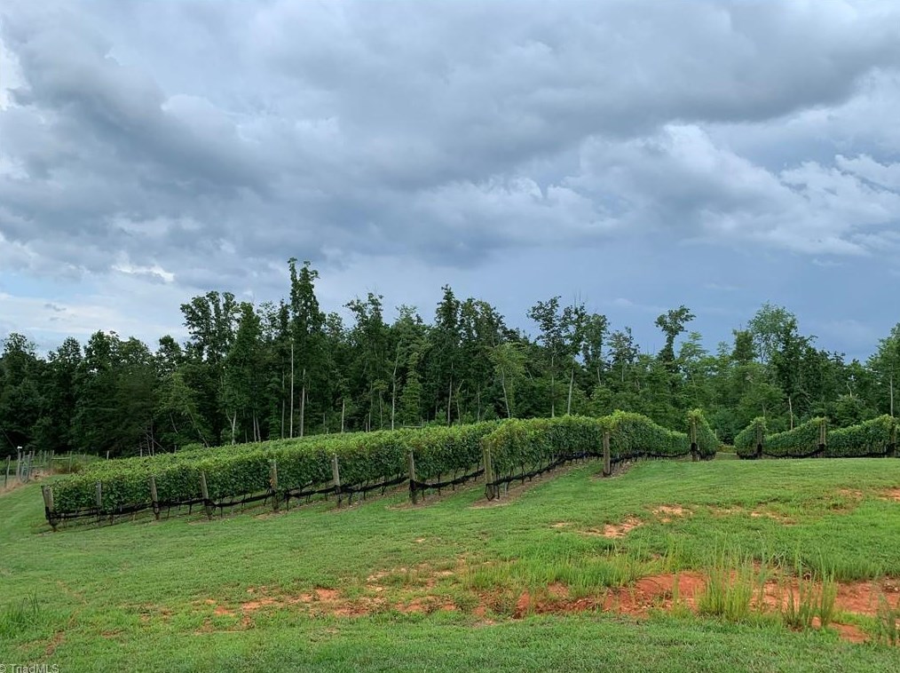 267 Devotion Farm Way, Thurmond NC 28683-8149 exterior