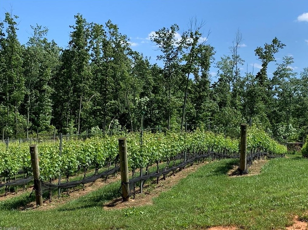 267 Devotion Farm Way, Thurmond NC 28683-8149 exterior