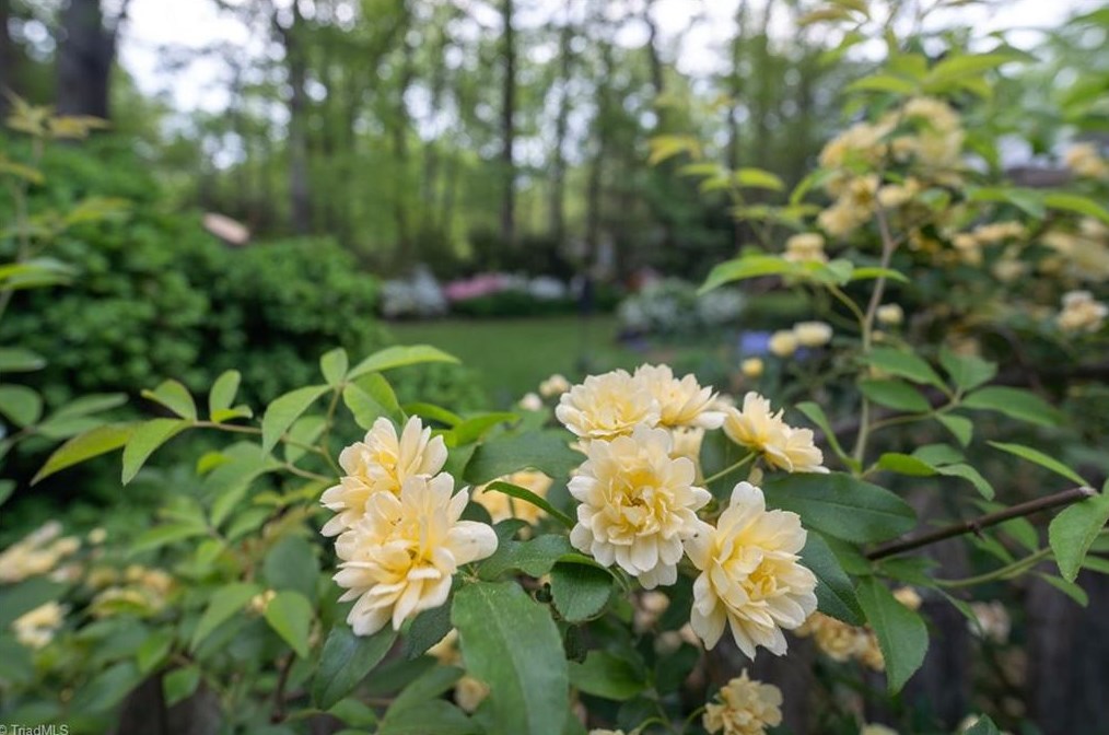 113 Hawkins Dr, Greensboro NC  exterior