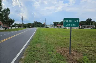 00 Golf Course Rd, Pilot Mountain, NC 27041 - Photo 13