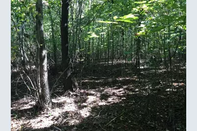 00 & 000 Terrell Street, Mebane, NC 27302 - Photo 5