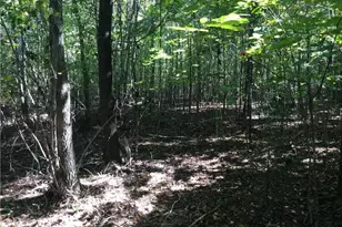 00 & 000 Terrell St, Mebane, NC 27302 - Photo 5