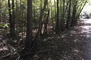 00 & 000 Terrell St, Mebane, NC 27302 - Photo 3