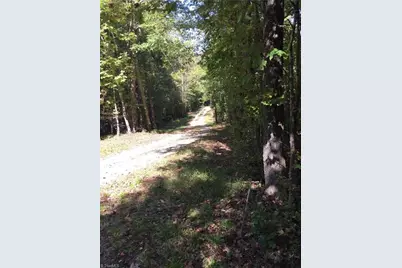 00 & 000 Terrell Street, Mebane, NC 27302 - Photo 1