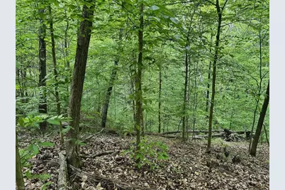 0 Windchester Lane, Blanch, NC 27212 - Photo 13