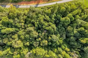 Lot 19 Regal Oaks Dr, Wilkesboro, NC 28697 - Photo 1