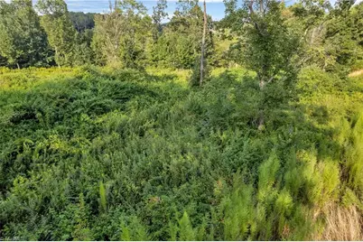 Lot 24 Regal Oaks Drive, Wilkesboro, NC 28697 - Photo 1