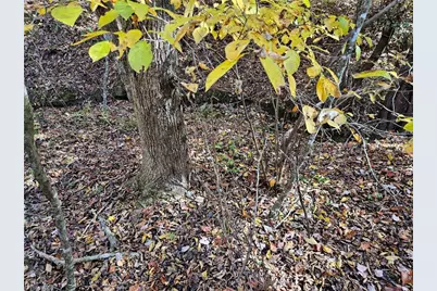 00 Jackson Road, Westfield, NC 27053 - Photo 11