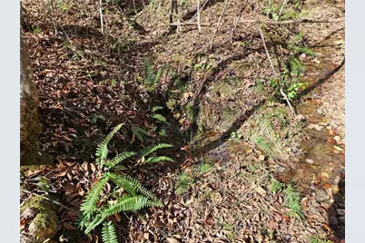 00 Jackson Road, Westfield, NC 27053 - Photo 9