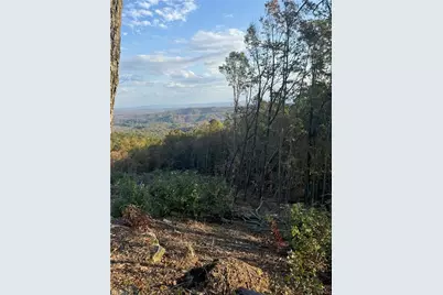 48 Cane Creek Church Road, McGrady, NC 28649 - Photo 7