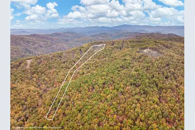 48 Cane Creek Church Road, McGrady, NC 28649 - Photo 3