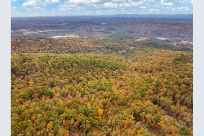 48 Cane Creek Church Road, McGrady, NC 28649 - Photo 21