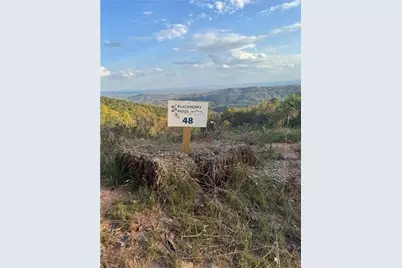 48 Cane Creek Church Road, McGrady, NC 28649 - Photo 5