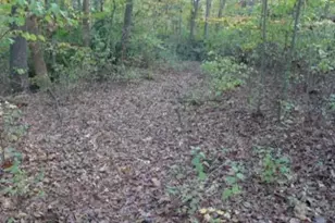 187 Caravan Ln, Mocksville, NC 27028 - Photo 1