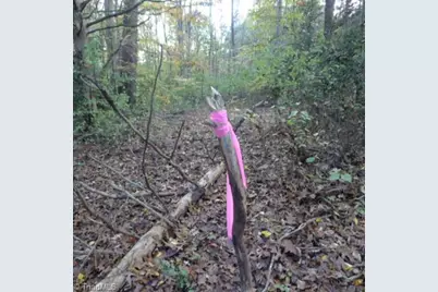 187 Caravan Lane, Mocksville, NC 27028 - Photo 3