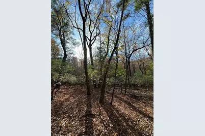 Tbd Courtland Lane, Lowgap, NC 27024 - Photo 7