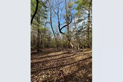 Tbd Courtland Lane, Lowgap, NC 27024 - Photo 21