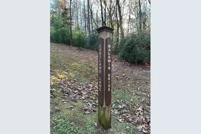 Tbd Courtland Lane, Lowgap, NC 27024 - Photo 13