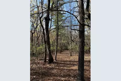 Tbd Courtland Lane, Lowgap, NC 27024 - Photo 9