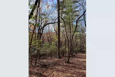 Tbd Courtland Lane, Lowgap, NC 27024 - Photo 15