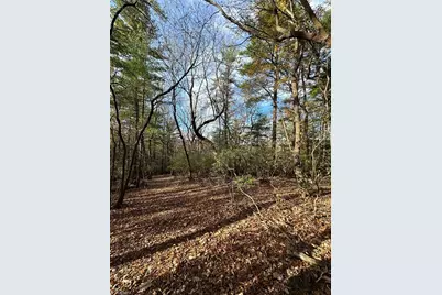 Tbd Courtland Lane, Lowgap, NC 27024 - Photo 5