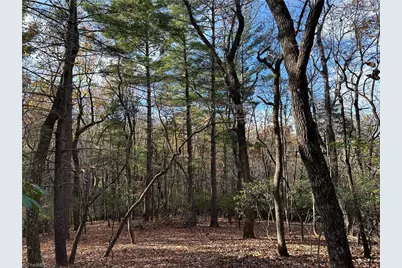 Tbd Courtland Lane, Lowgap, NC 27024 - Photo 3