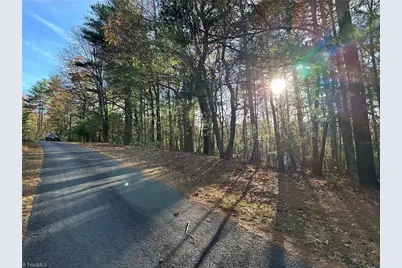 Tbd Courtland Lane, Lowgap, NC 27024 - Photo 19