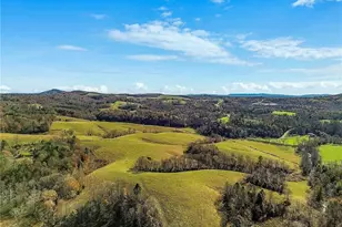 000 Austin Traphill Rd, Traphill, NC 28685 - Photo 1