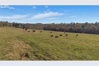 000 Austin Traphill Road, Traphill, NC 28685 - Photo 19