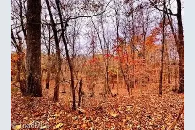 338 River Pines Trail, Clemmons, NC 27012 - Photo 5