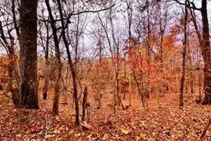 338 River Pines Trail, Clemmons, NC 27012 - Photo 5