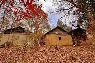 338 River Pines Trail, Clemmons, NC 27012 - Photo 9